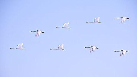 《最终幻想7：重生》内容丰富 两张光盘都差点装不完